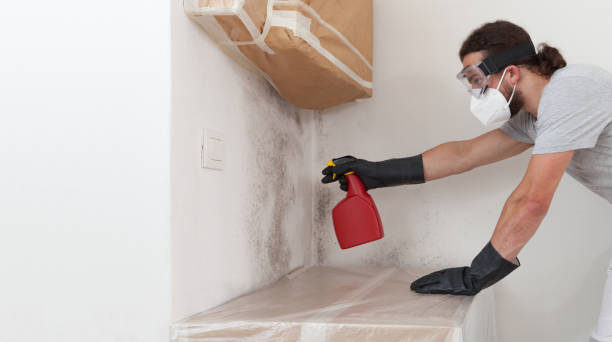 Professional Mold Cleanup technician working in Martinsville, NJ