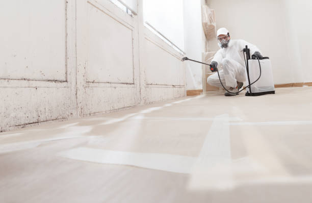 24/7 Emergency Mold Cleanup experts in Martinsville, NJ