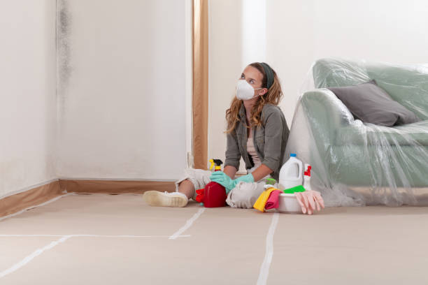 Reliable Mold Cleanup contractor in Martinsville, NJ by WQB Mold Removal