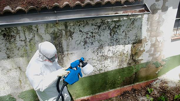 Top rated local Mold Cleanup specialists in Martinsville, NJ